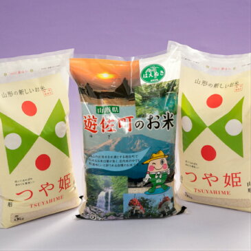 【ふるさと納税】山形県庄内産 つや姫10kg 山形県遊佐町産はえぬき5kg 計15kg 令和元年産米