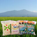 【ふるさと納税】山形県庄内産 つや姫、ミルキークイーン各5k
