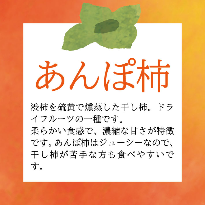 【ふるさと納税】庄内あんぽ柿「遊味」 2箱セット 3個入×4袋×2箱 山形県遊佐町産 庄内柿 2022年12月上旬～12月下旬頃にお届け 冷蔵便 ※離島発送不可 東北 庄内地方 干柿 かき カキ 特別栽培柿 エコファーマー 乾燥果実 ドライフルーツ 半生