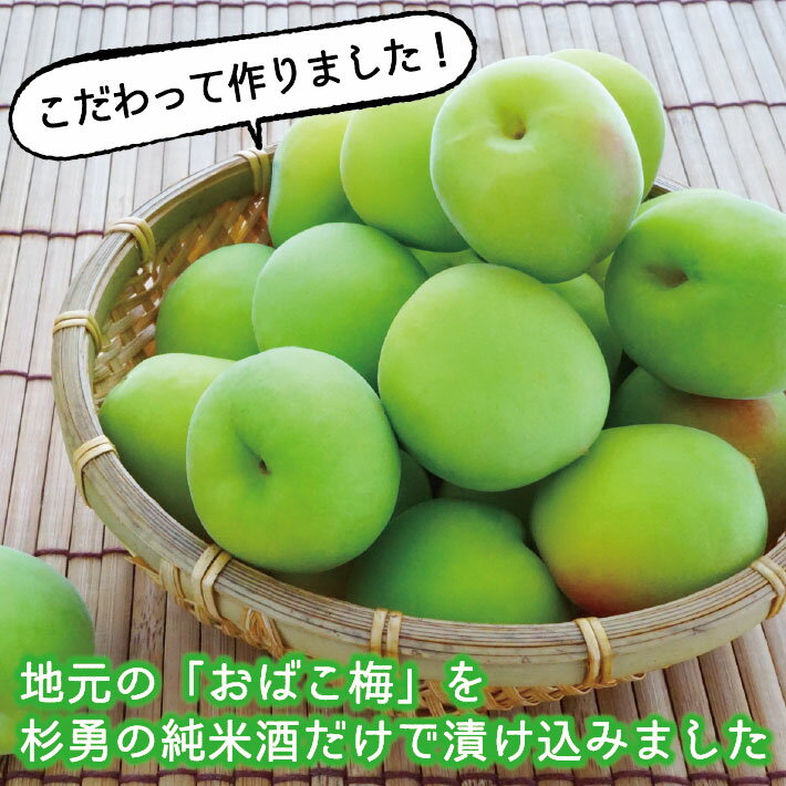 山形県遊佐町の画像2