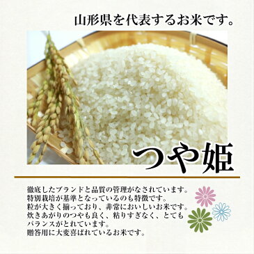 【ふるさと納税】山形県庄内産 つや姫10kg 山形県遊佐町産はえぬき5kg 計15kg 令和元年産米