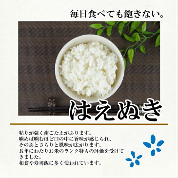 【ふるさと納税】山形県遊佐産はえぬき 山形県庄内産雪若丸 各5kg計10kg　令和元年産米