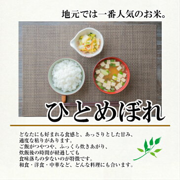 【ふるさと納税】山形県遊佐産 ひとめぼれ5kg はえぬき10kg 計15kg 令和元年産米