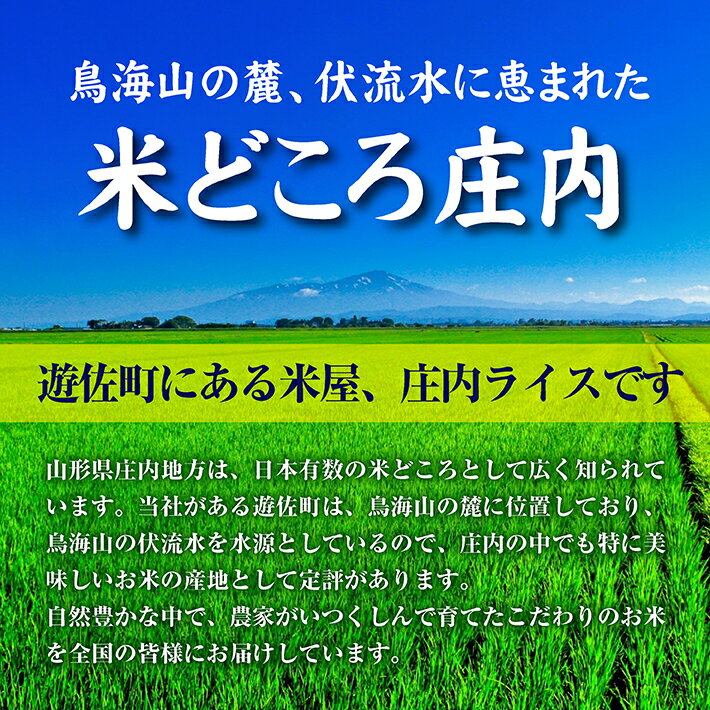 【ふるさと納税】はえぬき 計10kg 5kg×2袋 令和3年産米 山形県遊佐産 東北 遊佐町 庄内地方 庄内平野 米 お米 精米 白米 庄内米 ごはん ご飯 セット