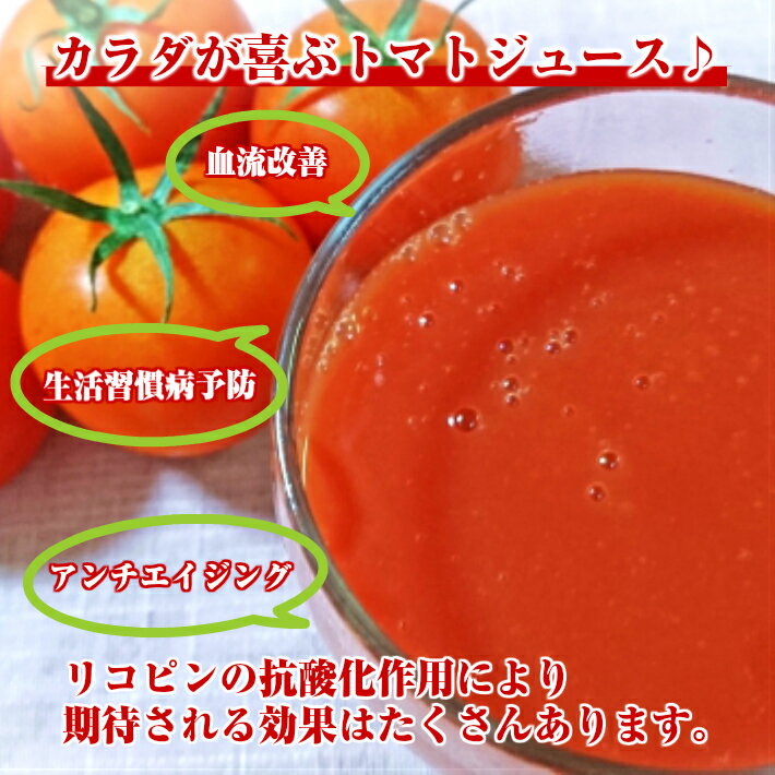 【ふるさと納税】農家直送トマトジュース秋のめぐ実砂糖不使用食塩無添加500mltimes;4本