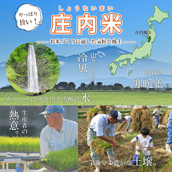 【ふるさと納税】はえぬき ひとめぼれ 精米 各5kg 計10kg 山形県庄内産 令和5年産米 ご希望時期頃お届け 東北 山形県 遊佐町 庄内地方 庄内平野 庄内米 白米 セット 発送時期が選べる