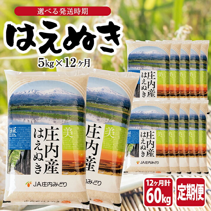 【ふるさと納税】≪12ヶ月連続定期便≫はえぬき5kg×12ヶ月連続 計60kg 山形県庄内産 ご希望の毎月中旬頃お届け