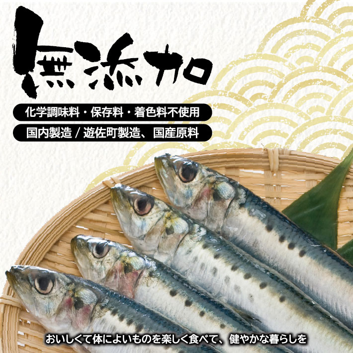 【ふるさと納税】国産いわし水煮 120g×10パック いわし イワシ 鰯 水煮 常温保存 ご飯のおと おかず おつまみ 小分け 個包装