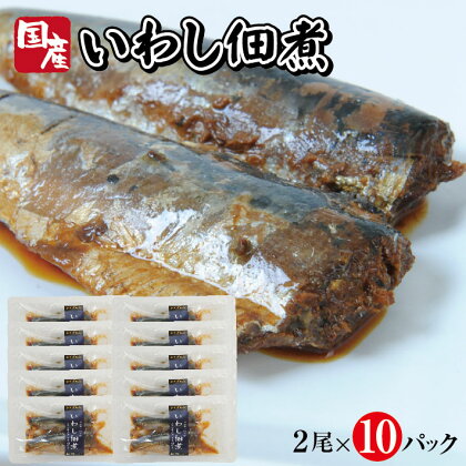 国産いわし佃煮 2尾×10パック イワシ 佃煮 常温保存 ご飯のおとも