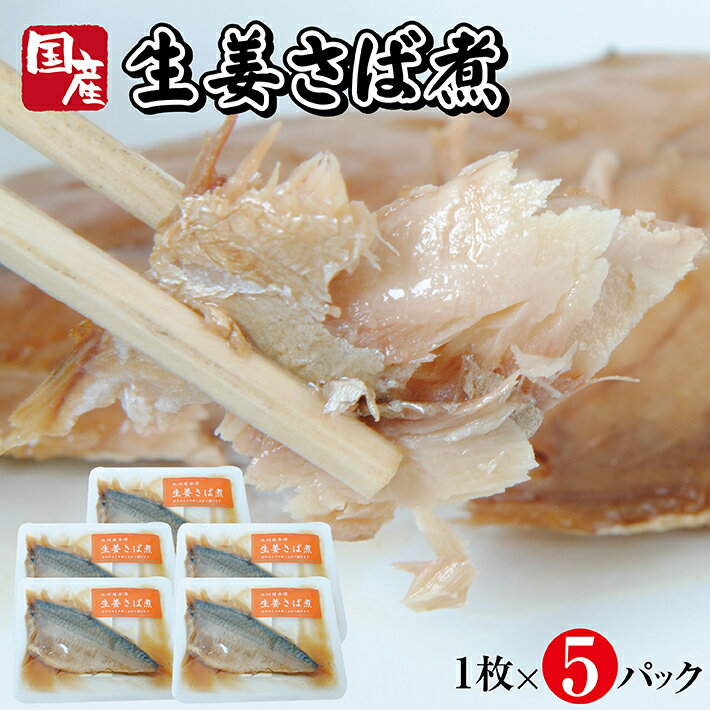 国産生姜さば煮 1枚×5パック 生姜 サバ 常温保存 ご飯のおとも