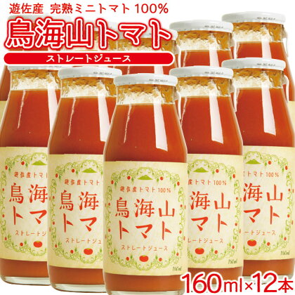 農家直送 トマトジュース 鳥海山トマト 砂糖不使用 食塩無添加 160ml×12本