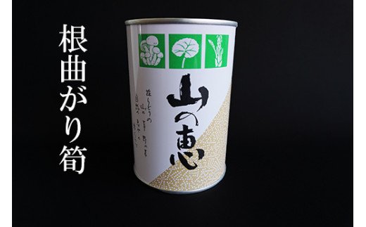 【ふるさと納税】No.0211 たけのこ 缶詰(根曲り筍)1缶