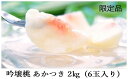 【ふるさと納税】【先行予約】No.0667 【限定50箱】吟