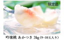 【ふるさと納税】【先行予約】No.0668 【限定50箱】吟