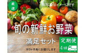 【ふるさと納税】No.1003　大人気！旬の新鮮お野菜　満足セット（詰め合わせ）【定期便4回】