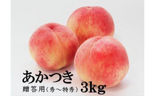 No.2040ふくしまブランド桃　あかつき　約3kg