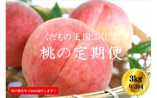 3位! 口コミ数「4件」評価「4.75」No.2026【2024年発送分】ふくしまの桃 約3kg 定期便3回【贈答用】