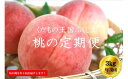 13位! 口コミ数「4件」評価「4.75」No.2026【2024年発送分】ふくしまの桃 約3kg 定期便3回【贈答用】