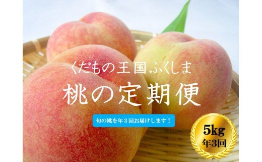 【ふるさと納税】No.2027【2024年発送分】ふくしまの桃 約5kg 定期便3回【贈答用】