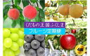 21位! 口コミ数「3件」評価「4.67」No.2340【2024年発送分】フルーツ4種定期便（桃約5kg、梨約5kg、シャインマスカット＆巨峰orピオーネ各2房、林檎約5kg）