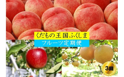 5位! 口コミ数「3件」評価「5」No.2030【2024年発送分】フルーツ3種定期便　（桃約3kg、梨約3kg、林檎約3kg）