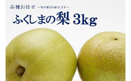 No.2042 【2024年発送分】ふくしまの梨　約3kg（幸水または豊水）