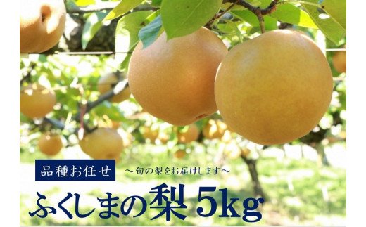 No.2043 【2024年発送分】ふくしまの梨　約5kg（幸水または豊水）