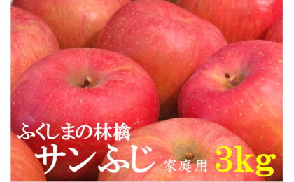 No.2064【2022年度発送】りんご「サンふじ」家庭用約3kg　林檎 リンゴ