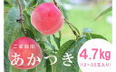 【ふるさと納税】No.0853 【先行予約】 もも「あかつき