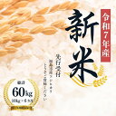 【ふるさと納税】No.1498【令和7年産新米 先行予約】大文字屋米穀店【定期便6回】コシヒカリ 10kg(5kg×2)精米 (6か月連続お届け)