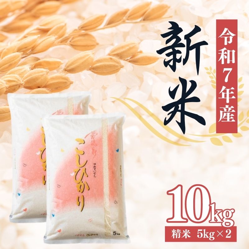 No.2381ʸƹŹ7ǯơͽ ҥ 10kg5kg2