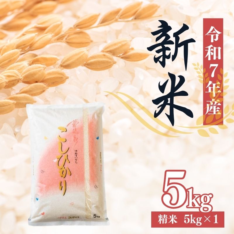 大文字屋米穀店[令和7年産新米 先行予約]コシヒカリ精米 5kg