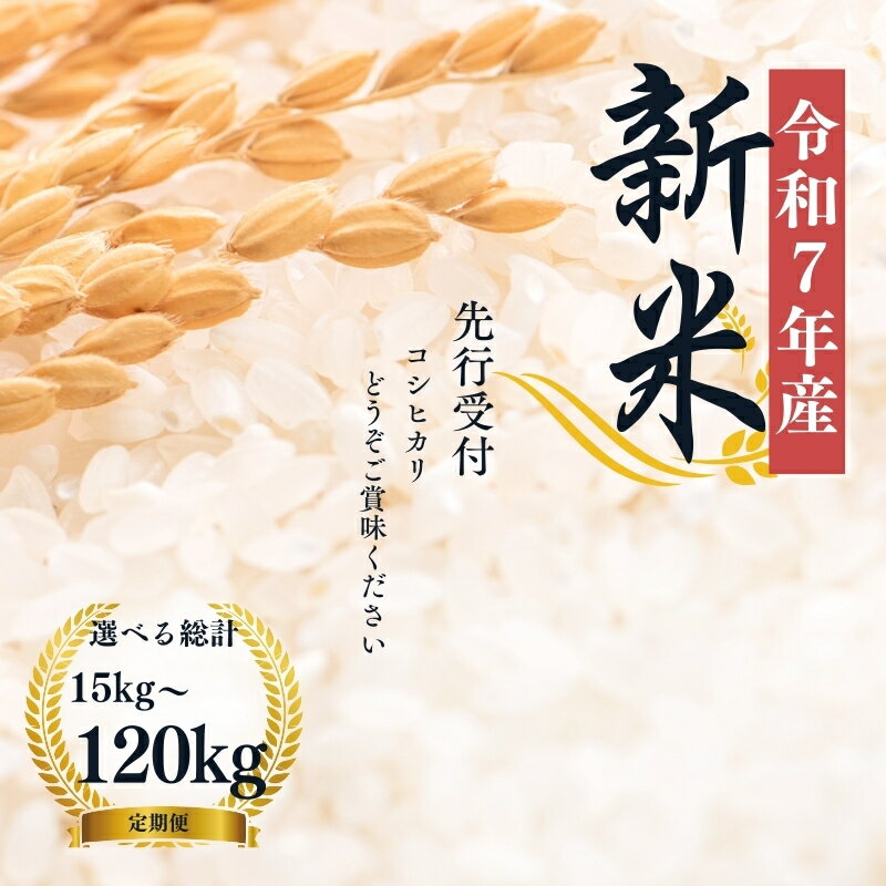 [令和7年産新米 先行予約]大文字屋米穀店[定期便]コシヒカリ 精米 定期便 選べる配送回数 選べる容量