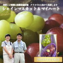 【ふるさと納税】No.1142ぶどう シャインマスカット&マイハート2房詰め合わせ 化粧箱入【2025年12月発送】