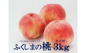 【ふるさと納税】No.1396 今年最後のふくしまの桃 3kg (晩生種)もも モモ