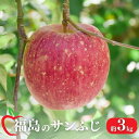 【ふるさと納税】No.1471 りんご「サンふじ」約3kg【2025年度発送】