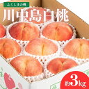 【ふるさと納税】No.2153福島のもも 川中島白桃 約3kg【2026年発送 先行予約】