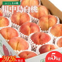 【ふるさと納税】No.2154福島のもも 川中島白桃 約5kg【2026年発送 先行予約】
