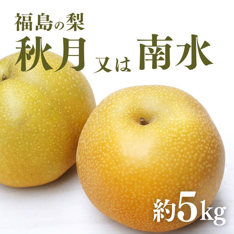 No.2186福島の梨 秋月または南水 約5kg[2025年発送分]先行予約 梨 福島の梨 約5kg フルーツ 果物 デザート 旬 なし ナシ 福島市 福島県産 2万円以下 返礼品 お取り寄せ