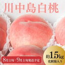 【ふるさと納税】No.2219 もも「川中島白桃」約1.5kg 化粧箱入【2025年発送】
