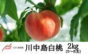 【ふるさと納税】No.2300もも 川中島白桃約2kg【2025年発送 先行予約】