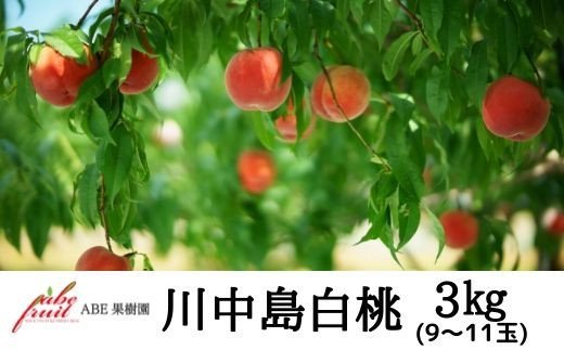 No.2301もも　川中島白桃約3kg【2024年発送】