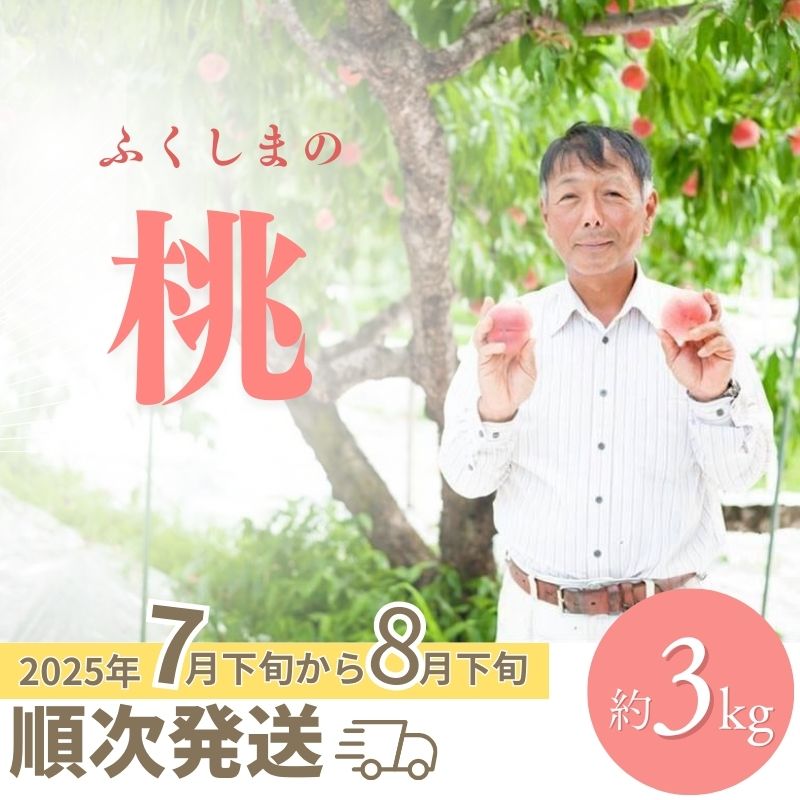 【ふるさと納税】No.2406福島 桃 約3kg【2025年発送】