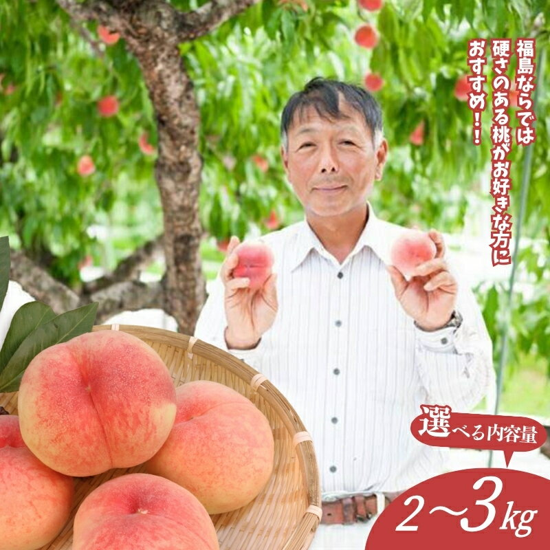 福島 桃 晩成種 約2kg 約3kg[2026年発送 先行予約]