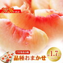 【ふるさと納税】No.2421 7月発送の桃 特秀品約1.7kg【2026年発送】