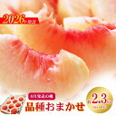 【ふるさと納税】No.2426 8月発送の桃 特秀品約2.3kg【2026年発送】