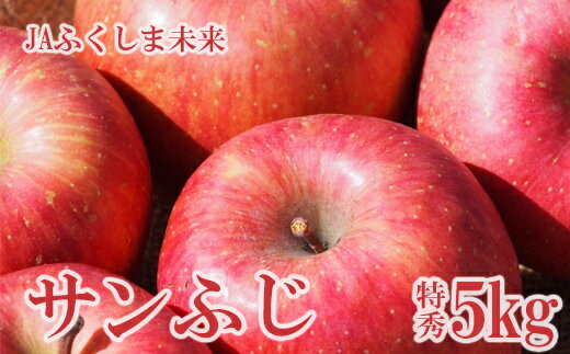 No.2509りんご「サンフジ」 約5kg 特秀14玉～18玉【2024年度発送】