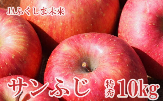 【ふるさと納税】No.2510りんご「サンフジ」 約10kg 特秀28～36玉【2024年度発送】