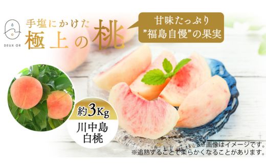 【ふるさと納税】No.2670もも「川中島白桃」約3kg【2