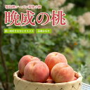 【ふるさと納税】No.2689福島桃シーズン最後の桃 晩成桃 約3kg【2025年発送分】先行予約 桃 福島の桃 約3kg フルーツ 果物 デザート 旬 モモ ももクール便 福島市 福島県産 2万円以下 返礼品 お取り寄せ